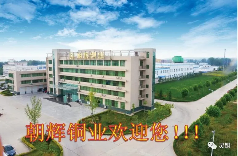 1 (8).png